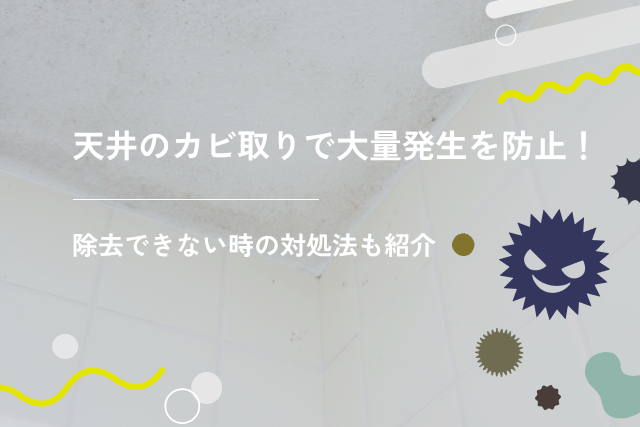 天井のカビ取りで大量発生を防止!除去できない時の対処法も紹介