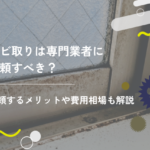 カビ取りは専門業者に依頼すべき?悩んだときのポイントを解説