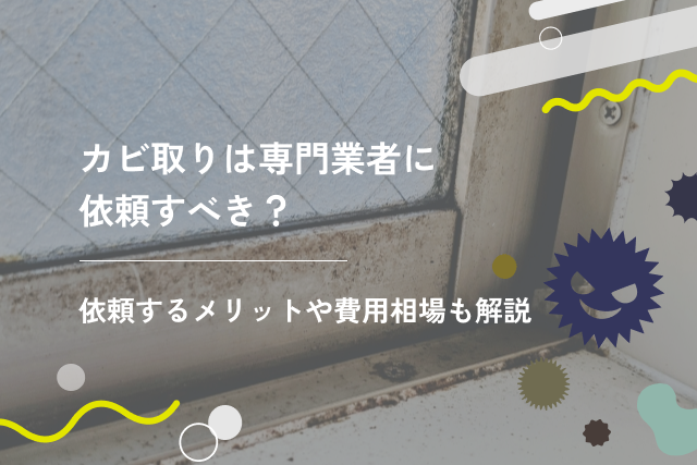 カビ取りは専門業者に依頼すべき?悩んだときのポイントを解説