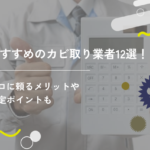 おすすめのカビ取り業者12選!プロに頼るメリットや選定ポイントも